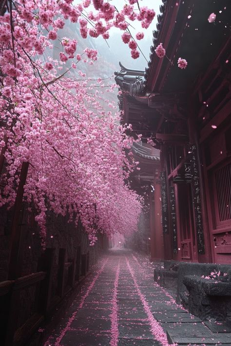 Experience the Magic of Cherry Blossoms in Japan🌸 Visit Japan in spring to witness the stunning cherry blossoms in full bloom. Enjoy hanami (flower viewing) in parks and gardens across the country. 🌿🌸 #CherryBlossoms #SpringTravel Japanese Cherry Blossom Trees, Japan Aesthetic Cherry Blossoms, Flowers On Buildings, Cherry Blossom Japan Aesthetic, Cherry Blossom Season Japan, Spring Park Aesthetic, Japan Spring Aesthetic, Japan Astetic, Japan Nature Aesthetic