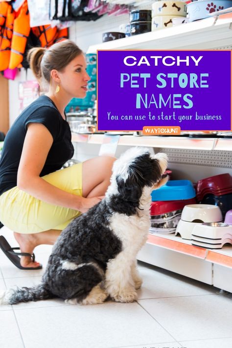 Catchy PET Store Names Store Names Ideas, Pet Store, Animal Lover, How To Memorize Things, Branding, Funny