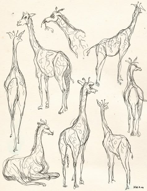 giraffe sketches by kiki Giraffe Sketches, Giraffe Drawing, Animal Drawings Sketches, Animal Study, Desenho Tattoo, Arte Sketchbook, Sketch Inspiration, Animal Sketches, Arte Animal