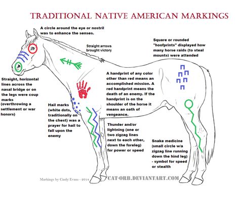 Traditional Native American Horse Markings Native American Medicine, Horse Halloween Costumes, Horse Markings, Native American Horses, Indian Horses, American Quotes, Native American Wisdom, Native American Paintings, Native American Symbols