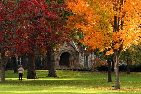 MACALESTER COLLEGE - BA Linguistics, Japanese Macalester College, Liberal Arts College, Campus Map, New College, Dream College, State School, Top Colleges, Liberal Arts, College Campus