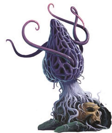 Evil Plants, Potion Brewing, Plant Monster, Alien Plants, Heroic Fantasy, Alien Concept, Dnd Monsters, Cosmic Horror, Fantasy Monster