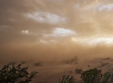 Desert Kingdom Aesthetic, Desert Rain Aesthetic, Desert Storm Aesthetic, Rain In Desert, Alexandra Savior, Native American Folklore, Rock N Roll Aesthetic, Galveston Storm 1900, Dust Storm