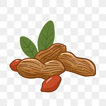 Nuts Drawing, Peanut Drawing, Peanut Illustration, Peanut Cartoon, Label Botol, Leaves Cartoon, Harvest Fruit, Nuts Snacks, Peanut Ball