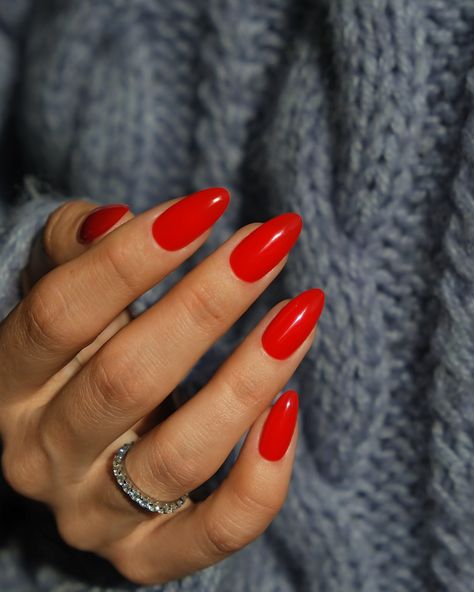 Red gel polishes by @dreamgoddessnails #productphotography #handmodel #nailsmodel #rednails #gelpolish #nailcare Red Nails Bright, Red Gel Nails Almond, Simple Red Almond Nails, Red Nails Round Shape, 2024 Red Nails, Tomato Red Nails, Nail Inspo For Winter, Plain Red Almond Nails, Red Nails Oval