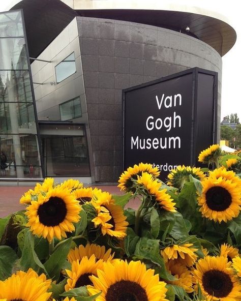 Thinking Minds on Instagram: “Van Gogh Museum, Amsterdam 🌻” Lacma Museum, Kolumba Museum, Museum Branding, Moma Museum, Museum Logo, Ghibli Museum, Museum Photography, Museum Interior, Museum Exhibition Design