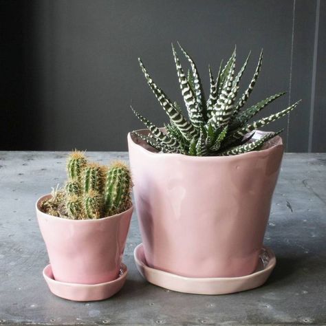 Pink Pots, Grey And Pink Bedroom, Bathroom Pink, Pink Bedroom Decor, Small Cactus, Bad Inspiration, Pink Plant, Bedroom Plants, Woman Bedroom