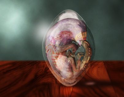 Check out new work on my @Behance portfolio: "Alien Embryo" http://be.net/gallery/49662593/Alien-Embryo Alien Embryo, Embryo Art, Graphic Design Adobe, Behance Portfolio, New Work, Work On, Snow Globes, Adobe Photoshop, Portfolio