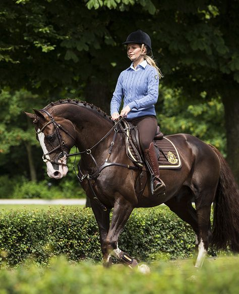 Cotton satin saddle blanket from JH Collection. Inside made from interlock honeycomb polyester with combination padding and foam. #Hööks Liver Chestnut Horse Jumping, Saddling A Horse, Horse With Saddle, Liver Chestnut, Jumping Horses, Equestrian Helmet, Horse Aesthetic, Saddle Blanket, Equestrian Fashion