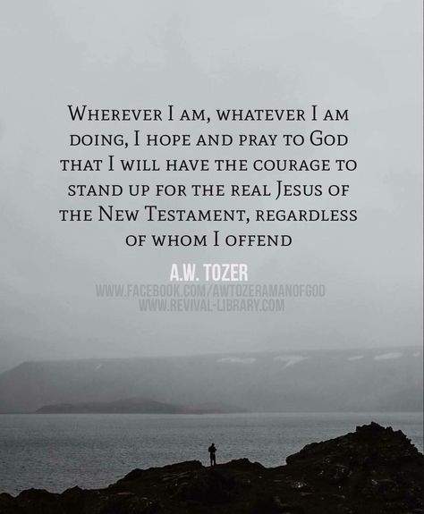 1,667 Likes, 16 Comments - A.W. TOZER-A MAN OF GOD (@awtozeramanofgod) on Instagram: “#tozer #awtozer #awtozerquotes” Aw Tozer Quotes, Tozer Quotes, A W Tozer, Man Of God, Soli Deo Gloria, Luke 1, Praying To God, Christian Encouragement, Godly Man