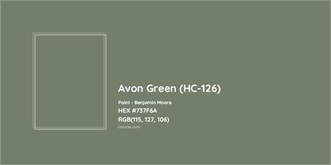 HEX #737F6A Avon Green (HC-126) Paint Benjamin Moore - Color Code Benjamin Moore Avon Green, Tate Olive, Green Benjamin Moore, Paint Benjamin Moore, Munsell Color System, Analogous Color Scheme, Paint Color Codes, Choosing Paint Colours, Rgb Color Wheel