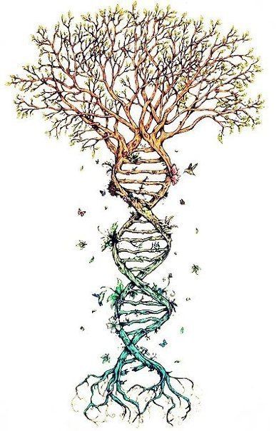 Dna Drawing, Dna Art, Dna Tattoo, Biology Art, Posca Art, Drawings Ideas, Medical Art, Homeschool Science, Anatomy Art