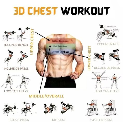 Challenge yourself with this 30 day workout challenge! Embrace the power of discipline!🔥💪🏼 #workout #workoutchallenge #workouttips #fitnesschallenge #fitness #gym #chestworkout Workout For Chest, Rep Ranges, Bench Press Workout, Small Home Renovation Ideas, Small Home Renovation, Workout Gym Routine, Chest Press, Gym Workout Planner, Workouts For Men