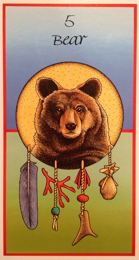 Bear ~ Introspection Animal Medicine Cards, Touching Spirit Bear, Medicine Cards, Native American Animals, Bear Totem, Spirit Bear, Animal Spirit Guides, Animal Medicine, Animal Guides