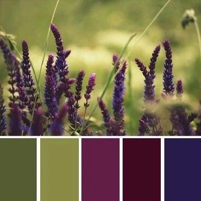 Pantone Colour Palettes, Bedroom Colour Palette, Purple Color Palettes, Color Plan, Gold Color Palettes, Brown Color Palette, Color Schemes Colour Palettes, Green Color Schemes, Nature Color Palette