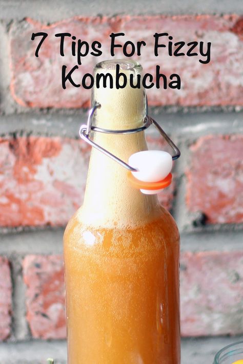 Peach Kombucha, Game Of Thrones Lannister, Kombucha Recipes, Lannister Lion, Fermented Drinks, Kombucha Flavors, Kombucha Scoby, How To Brew Kombucha, Homemade Kombucha