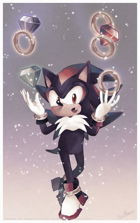 Treasures for Shadow by MissNeens.deviantart.com on @DeviantArt Colourful Paintings, Sonic Underground, Shadow Sonic, Hedgehog Movie, Sonic Funny, Sonic Fan Characters, Blue Hedgehog, Sonic Franchise, Hedgehog Art