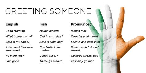 Learn all the basic Irish terms and phrases that you might come across on a visit to the Emerald Isle, from greeting someone, to everyday conversation to the romantic Irish charm. Description from thewildgeese.irish. I searched for this on bing.com/images Irish Gaelic Language, Irish Phrases, Irish Slang, Gaelic Words, Irish Words, Irish Language, Irish Gaelic, Irish Quotes, Scottish Gaelic