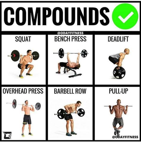 Your best basic compound movements to achieve the best results in strength, growth and hardness. Full Body Compound Workout, Ectomorph Workout, Lifting Workouts, Barbell Workout, Compound Exercises, Planet Fitness, Muscle Building Workouts, Weight Training Workouts, Aerobics Workout