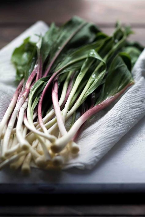 What are ramps, and how do you use them in recipes? When are ramps in season? Find the answers to all of your ramp questions here! #ramps #spring #savorysimple Wild Ramps, Ramp Pesto, Scallions Recipes, Wild Garlic, Wild Edibles, Pesto Recipe, Wild Food, Recipes For Beginners, Raw Food Recipes