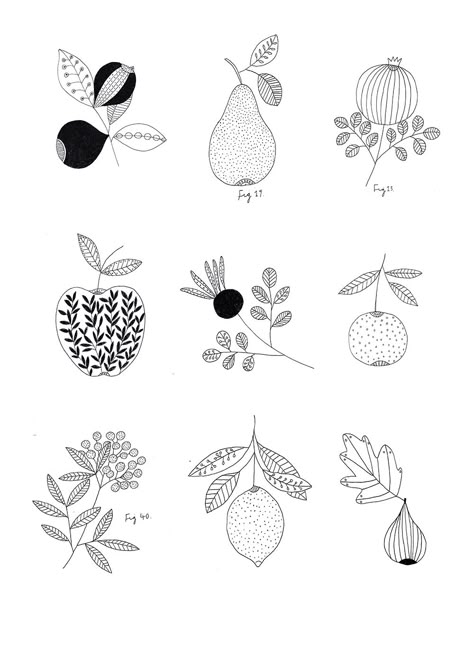 Botanical fruit print. By Ryn Frank www.rynfrank.co.uk Ryn Frank, Fruits Drawing, Fruit Illustration, Bullet Journal Doodles, Fruit Print, Botanical Drawings, Plant Illustration, Food Illustrations, Botanical Illustration