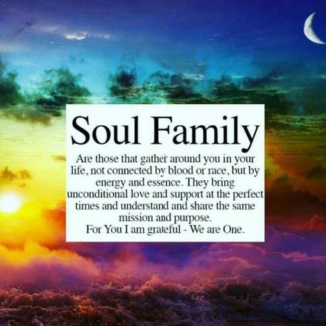 Vibe with Your Soul Tribe Tribe Quotes, Soul Family, Be Here Now, Free Your Mind, Soul Connection, Soul Sisters, I Am Grateful, Unconditional Love, Family Quotes