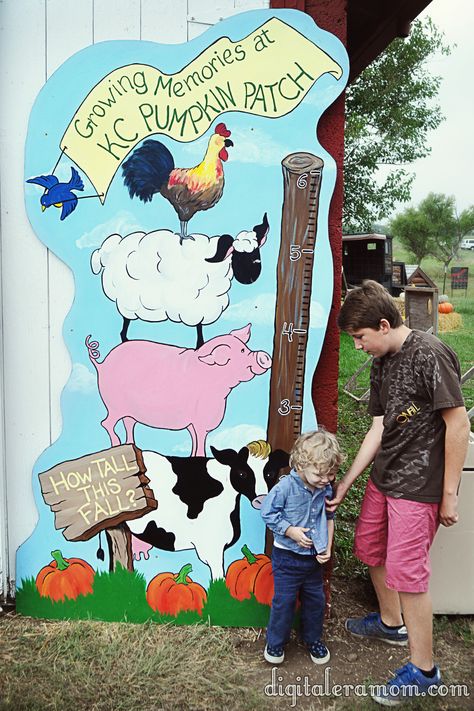 It's the Great Pumpkin, Kansas City! - Mama Plus One Pumpkin Patch Ideas, Pumpkin Patch Business, Harvest Background, Camp Decorations, Petting Zoo Birthday Party, Fall Festival Activities, Farm Mural, Petting Zoo Birthday, Zoo Birthday Party