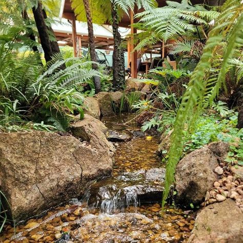 Think Green on Instagram: "GARDEN WATERFALLS   Waterfalls and streams with no pond to take care of? Really!?!  Yes, it’s a PONDLESS stream. A naturally beautiful, easy care and very low maintenance water feature.   Instead of having a pond at the bottom of your stream or waterfall, the water disappears into a layer of river pebble to an underground reservoir.   What a great idea! 💡  You can experience the sights and sounds of a waterfall with the inherent safety of underground deep water reservoir. PERFECT for kids (and grandkids!) to safely play in running water with a naturalistic appearance.   These pics are from a few of our established pondless stream projects that we have visited this week.   And we’re starting our next pondless stream project in Parkerville on Monday with a two str Pondless Stream, Backyard Streams, Tropical Courtyard, Backyard Stream, Garden Stream, River Pebbles, Garden Waterfall, Natural Pond, Water Reservoir