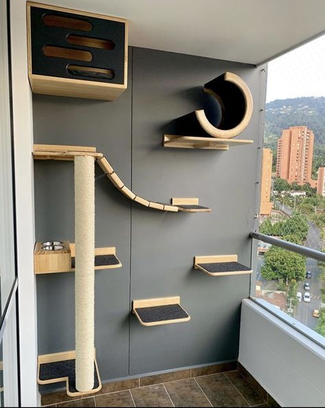 Takken Decor, Cat Room Decor, Cat Climbing Wall, Cat Furniture Design, Katt Grejer, Kat Diy, Cat Area, Cat Bedroom, Cat Gym