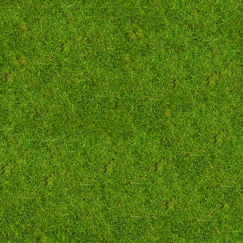 Grass Floor, Grass Png Hd, Grass Texture Architecture, Grass Material, Grass Png, Grass Texture Seamless, Grass Texture, Stone Wall Texture, Grass Carpet