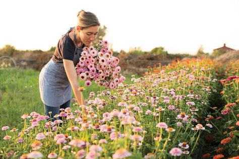 Profitable, Small-Scale Flower Farming – Mother Earth Gardener Flower Farm Layout, Flower Garden Layouts, Growing Cut Flowers, Flower Farming, Cut Flower Farm, Succession Planting, Farm Layout, Flower Farmer, Cut Flower Garden