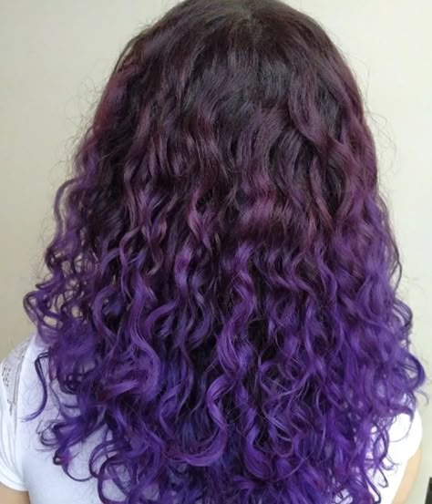 Orchid Curly Hair Color Ideas Purple Hair Color Curly, Dyed Hair Inspo For Curly Hair, Curly Hair With Purple Highlights, Cute Hair Dye Ideas For Curly Hair Purple, Hair Color Ideas For Curly Hair Dyes, Colored Hair Curly, Curly Hair Dip Dye, Curly Hair Color Ideas Purple, Curly Hair With Purple Tips