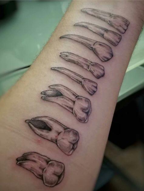 Dog Tooth Tattoo, Molar Tattoo, Dog Teeth Tattoo, Dentist Tattoo, Dental Tattoo, Teeth Tattoo, Tooth Tattoo, Tattoo Line, Dental Technician