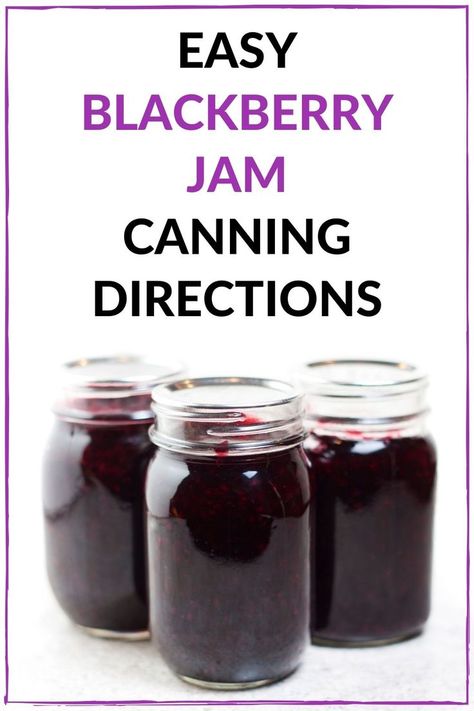 Beginner Canning, Easy Blackberry Pie, Canning Blackberries, Easy Jam Recipe, Blackberry Jam Recipes, Low Sugar Jam, Easy Jam, Pumpkin Bundt Cake, Blackberry Recipes