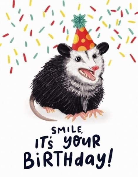 Happy Birthday Possum, Possum Party Ideas, Possum Birthday Party, Birthday Opossum, Birthday Possum, Possum Birthday, Happy Birthday Panda, Possum Art, Awesome Possum