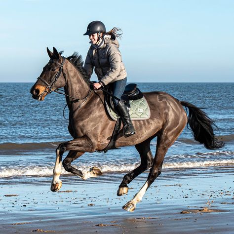 Horse Galloping Photography, Horse Galloping With Rider, Aesthetic Horses, Horse Water, Horse Country, Horse Coats, Horse Galloping, Fox Hunting, Pose References