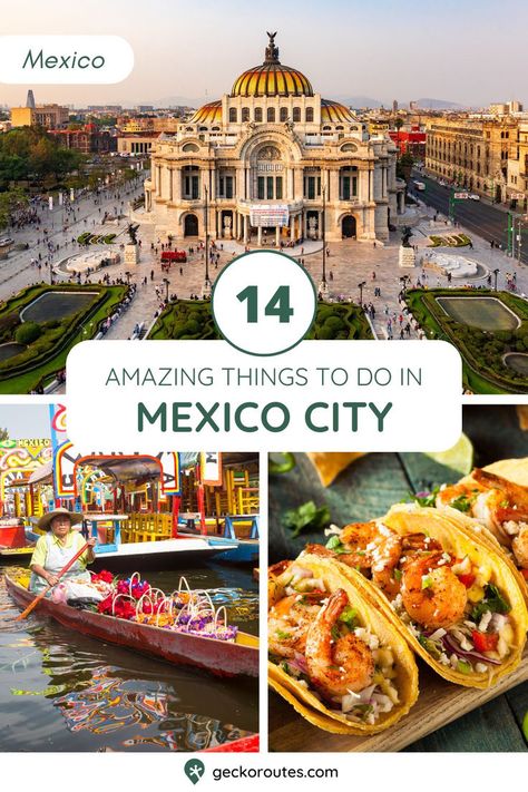 Mexico City is an extraordinary city. Whatever your interests are, there’s an activity or community for you. Many people only spend a few days in Mexico City, but there are so many amazing things to do here that you could stay for well over a week and not even begin to get bored. Tap this pin to discover 14 of the best things to do in Mexico City! Visit Mexico City, Places To Visit In Mexico City, 3 Days In Mexico City, City Of Mexico, Best Places To Eat In Mexico City, Weekend In Mexico City, Mexico City Activities, Shopping Mexico City, Day Trips From Mexico City