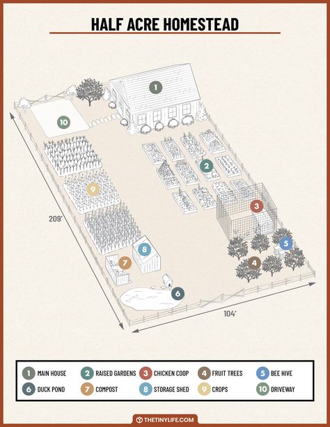 Designing A Half An Acre Homestead Layout - The Tiny Life 1 Acre Permaculture Layout, Half Acre Farm Layout, Homestead Yard Layout, Small Farm Plans Layout Design, Half An Acre Backyard Ideas, 1acre Homestead Layout, Half Acre Garden Layout, Homesteading On Half An Acre, Homestead Blueprint