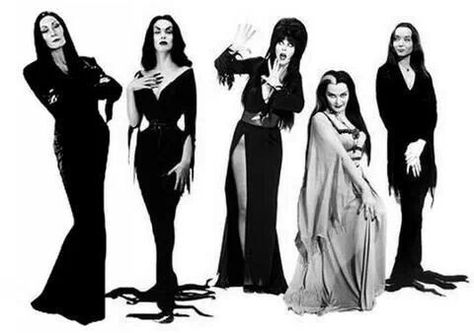 The women of horror Lily Munster, Goth Outfit Ideas, Gomez And Morticia, Cassandra Peterson, Days Until Halloween, Elvira Mistress Of The Dark, Goth Subculture, Morticia Addams, Witch Aesthetic