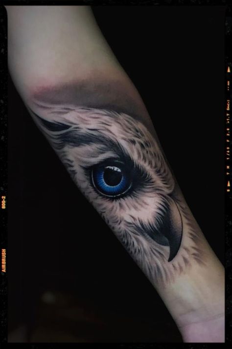 Owl Face Tattoo, Owl Eyes Tattoo, Owl Tattoo For Women, Baby Owl Tattoos, Owl Feather Tattoos, Pet Portrait Tattoos, James Tattoo, Owl Eye Tattoo, Owl Tat