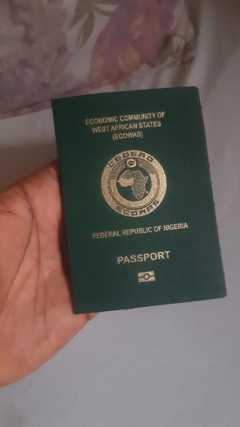 Nigerian Passport Aesthetic, Nigeria Passport, Jenny Boo, Nigerian Passport, Invoice Format In Excel, Ssn Card, Broken Iphone, Invoice Format, International Passport