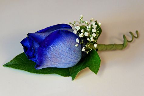 Boutonnière | Flowers I did for my friend Alana's mom's wedd… | Meighan | Flickr Blue Rose Boutonniere, Blue Boutonniere, Prom Corsage And Boutonniere, Wedding Boutonnieres, Groomsmen Boutonniere, Rose Boutonniere, Cute Birthday Ideas, Corsage And Boutonniere, Corsage Prom