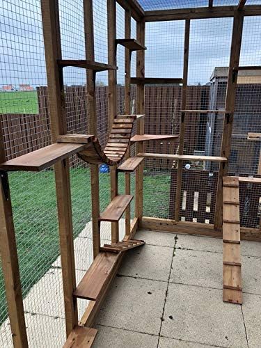 Catio Plans, Catio Ideas, Katt Diy, Cat Patio, Outdoor Cat Enclosure, Cat House Diy, Cat Run, Pet Enclosure, Cat Sanctuary