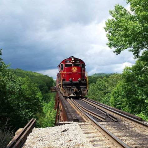 This 70-Mile Train Ride Is The Most Relaxing Way To Enjoy Arkansas Scenery Arkansas Road Trip, Arkansas Vacations, Ozark National Forest, Arkansas Travel, Scenic Train Rides, Scenic Road Trip, Train Tour, Scenic Roads, Beautiful Hikes