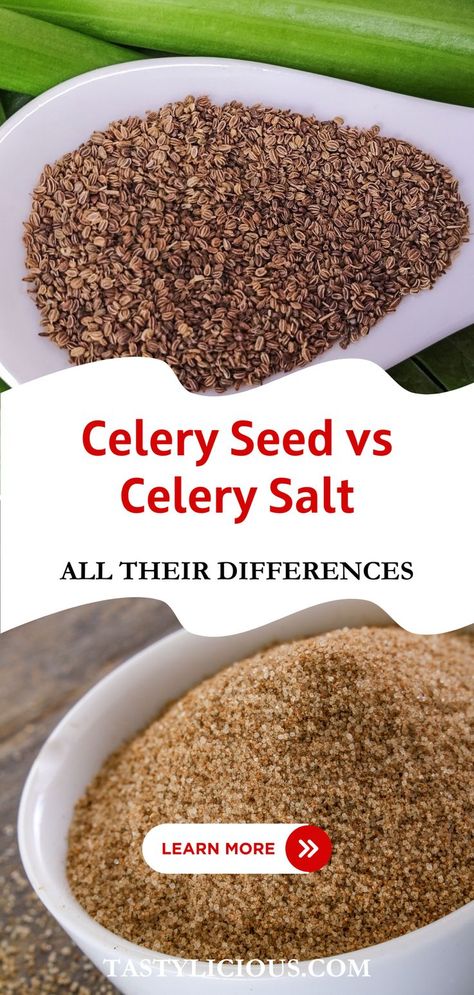 celery seed vs celery salt | celery seed vs celery salt differences | can i use celery seed instead of celery salt | keto recipes dinner | healthy summer dinner recipes | summer desserts | summer salads | easy summer meals | easy summer dinner recipes Easy Summer Dinner Recipes, Celery Plant, Healthy Summer Dinner, Growing Celery, Easy Summer Dinner, Summer Dinner Recipes, Healthy Summer Dinner Recipes, Potato Salads, Celery Salt