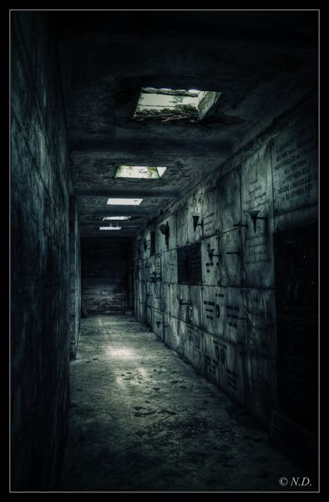 The crypt Crypt Aesthetic, Eerie Photography, Eerie Places, Dark Hallway, Apocalypse Aesthetic, Ghost House, Rpg Map, Scary Places, Fantasy Places