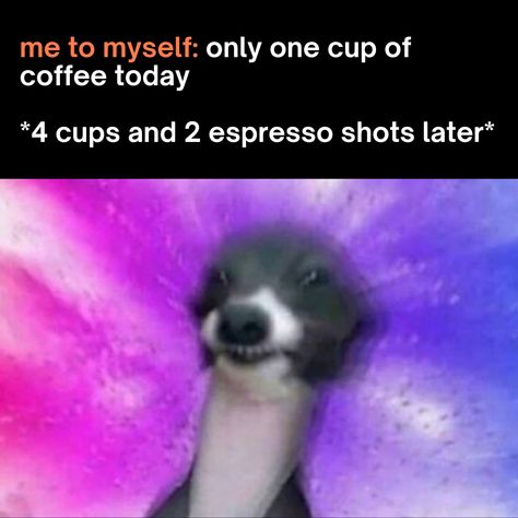 who can relate? 😂

#bonescoffee #coffee #coffeememes #memes #dailymemes #caffeine Caffeine Meme Funny, Barista Humor, Barista Life, Bones Coffee, Coffee Meme, Coffee Today, Espresso Shot, Coffee Company, Daily Memes