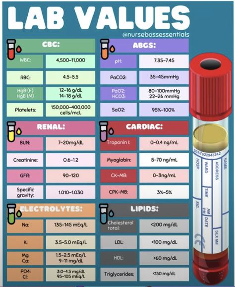 Nursing For Dummies, Medical Laboratory Assistant, Phelobotomy Aesthetic, Phlebotomy Study Notes, Phlebotomy Study, Medical Laboratory Science Student, Nursing School Studying Cheat Sheets, Clinical Laboratory, Medical Assistant Student