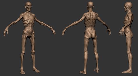 ArtStation - Zombie - Anatomy for Students Zombie Body Reference, Zombie Stance Reference, Zombie Anatomy, Mutant Zombie Character Design, Zombie Skin Texture, Zombie Survivor Character Concept Art, Zombie Pose, Weird Collections, Zombie Character