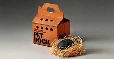 Pet Rocks! The Most Hilarious Toy Fad of the 70s Rock Box, Pet Rock, Those Were The Days, Pet Rocks, Vintage Toys, Childhood Memories, Vintage Photos, Growing Up, Fun Facts